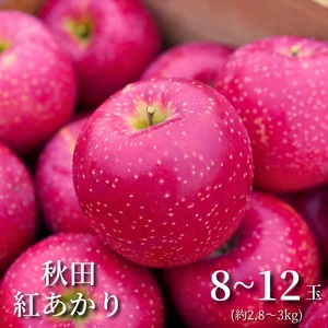 ≪予約受付中≫【星のような果点が目印の甘～い品種】佐々木公生果樹園の秋田紅あかり[8～12玉]秋田県横手市平鹿町産