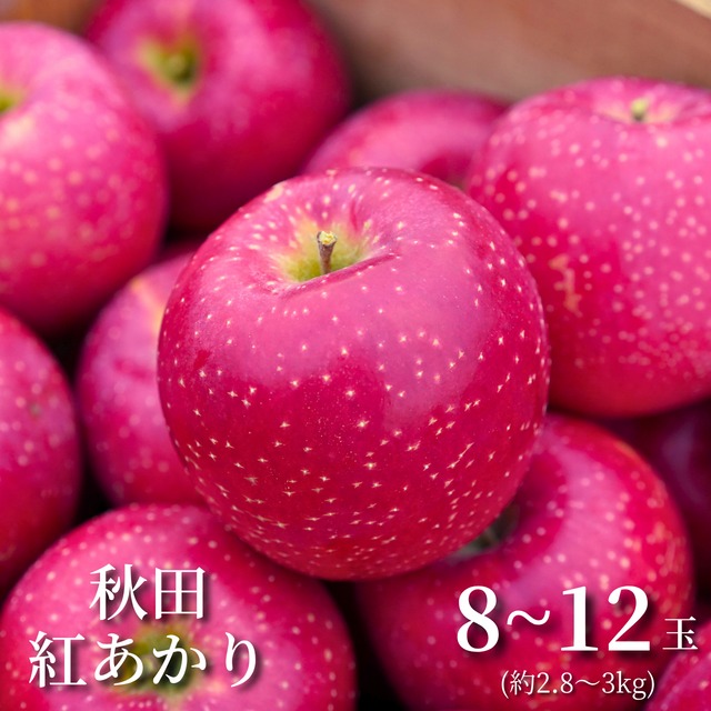 ≪予約受付中≫【星のような果点が目印の甘～い品種】佐々木公生果樹園の秋田紅あかり[8～12玉]秋田県横手市平鹿町産