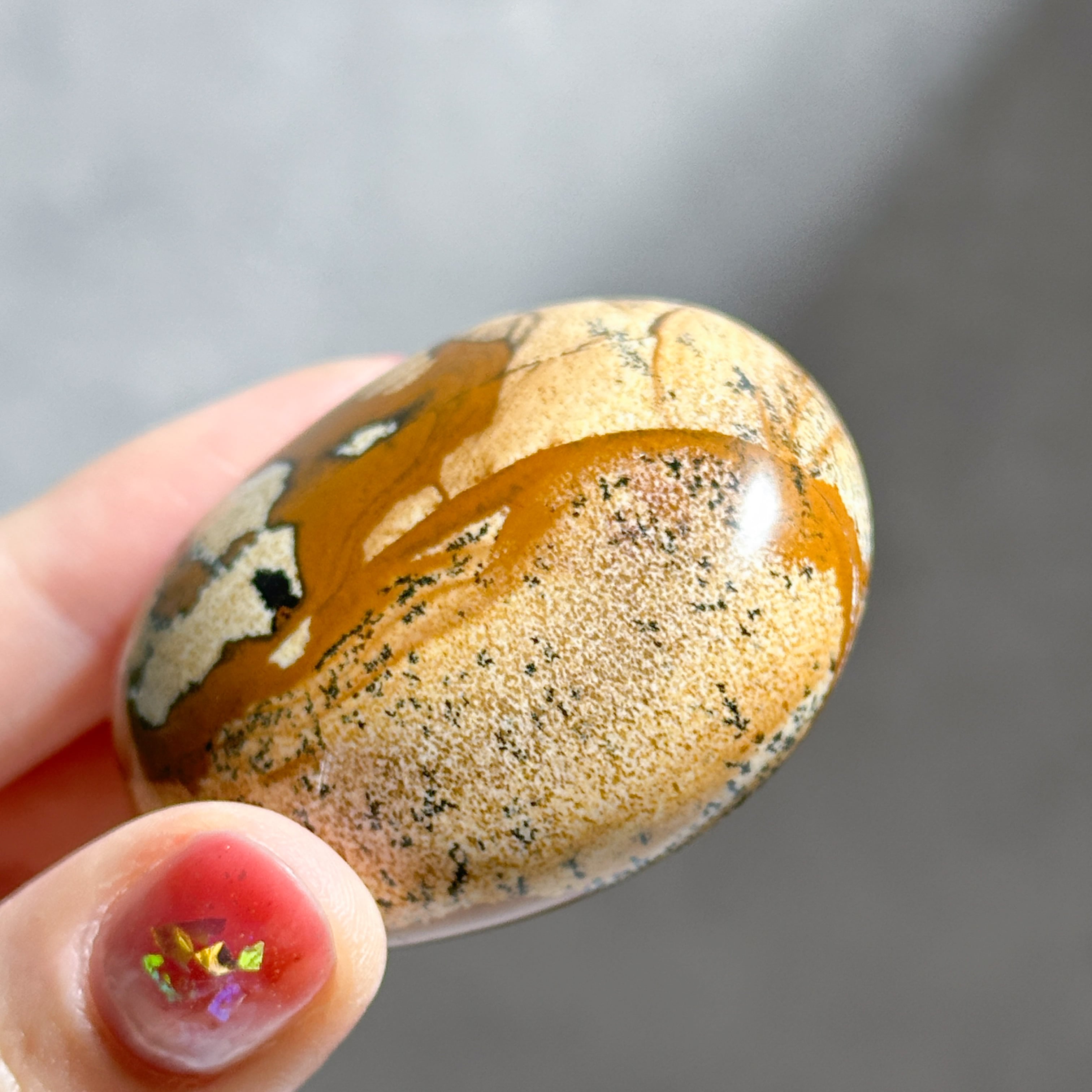 ピクチャージャスパー パームストーン21◇ Picture Jasper ◇ 天然石