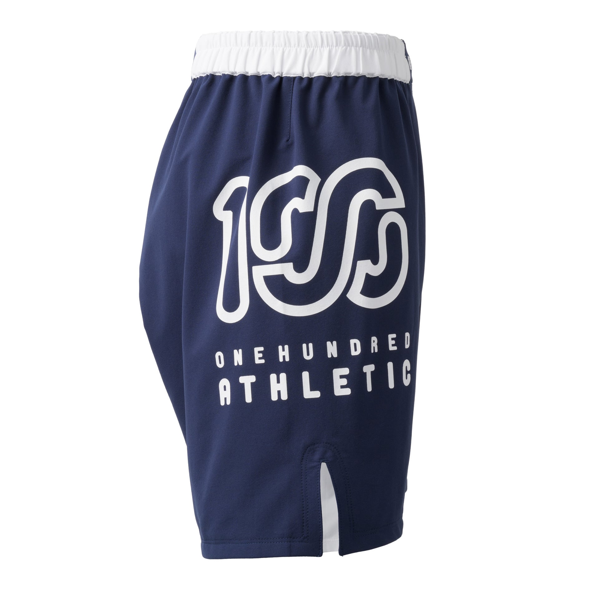 100A DRY GRAPPLE SHORTS *Type-A / BIG LOGO / BICOLOR | 100A ONLINE
