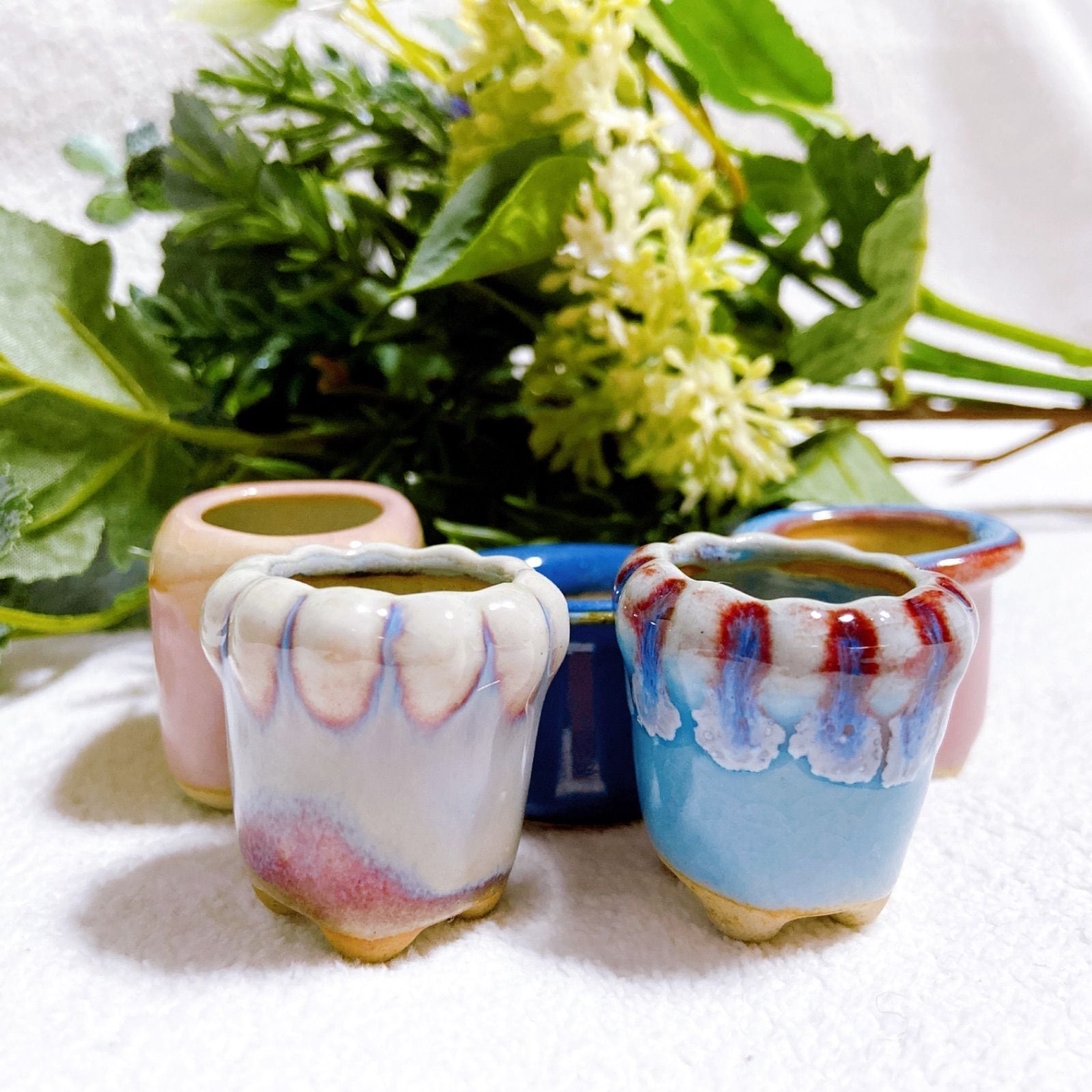 お得アソート 陶器製植木鉢 5点セット】 豆盆栽やコケ盆栽などに！ 苔