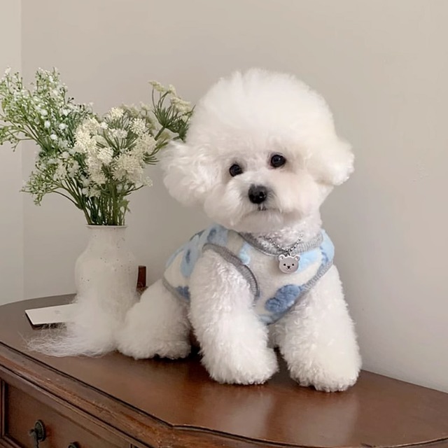 クラウディペットタンクトップ【sam031】