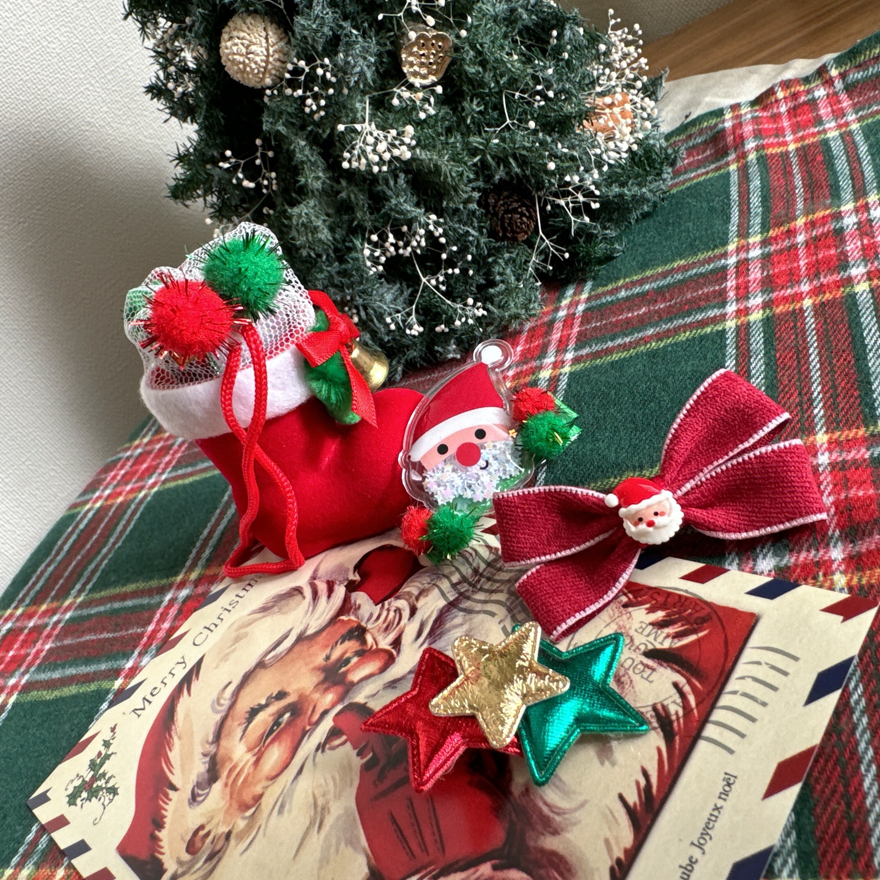 クリスマス*うちのこサンタブーツセット