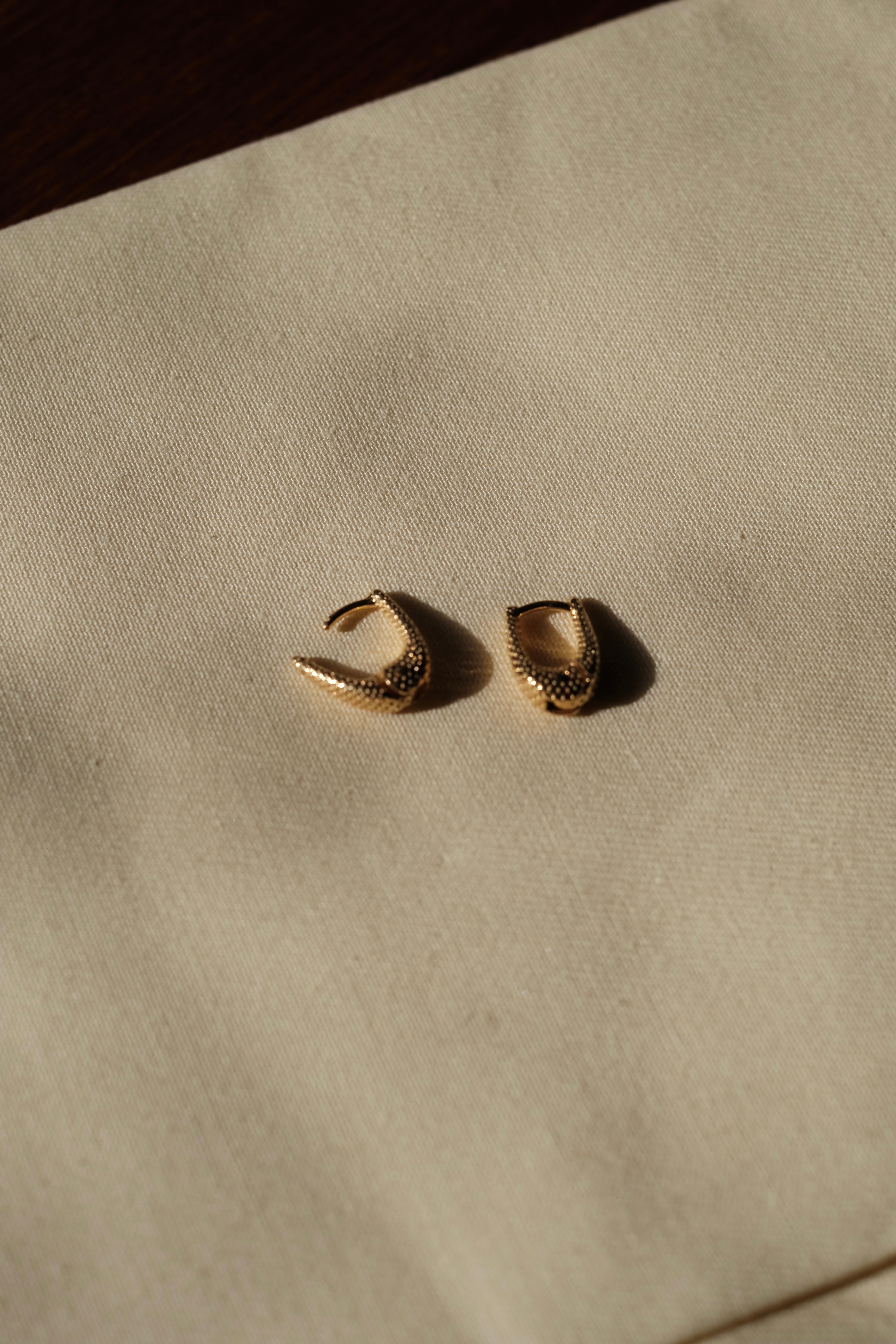 R.ALAGAN / TINY TINY PUFFY HOOPS | LIVING