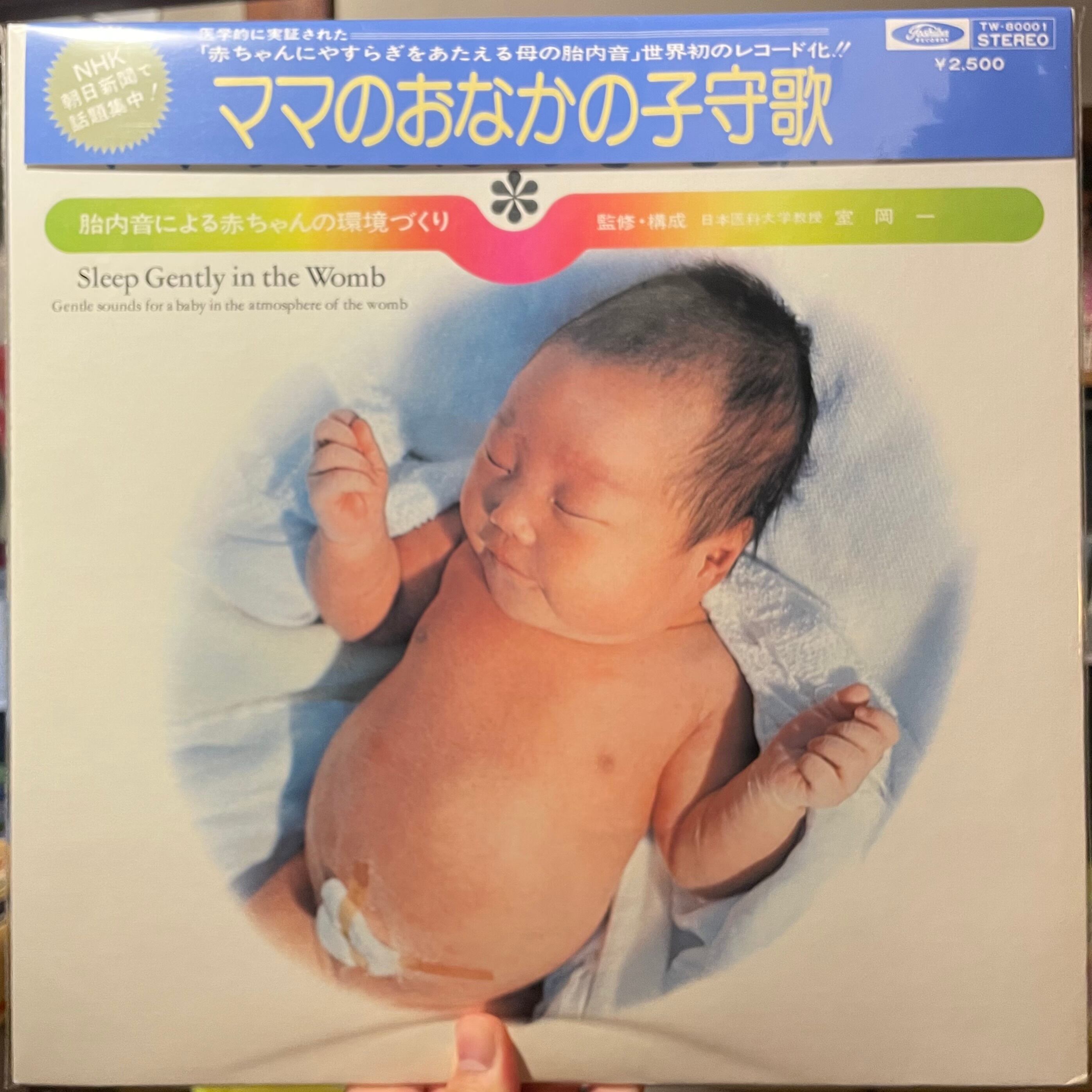 伊豆一彦″童夢″(LP) | catnoise(おんがくいぬとねこ)