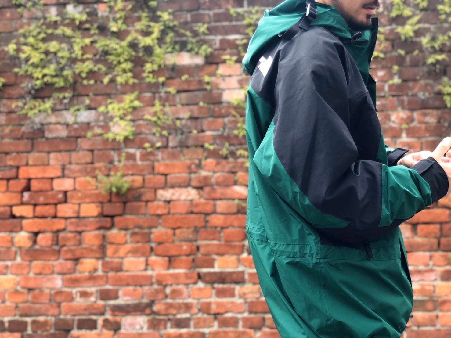 THE NORTH FACE 1994Mountain Light Jacket