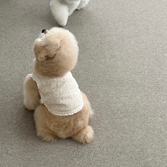 〈予約アイテム〉EYOU ノースリーブ / キャンディバーフォレスト(アイボリー)