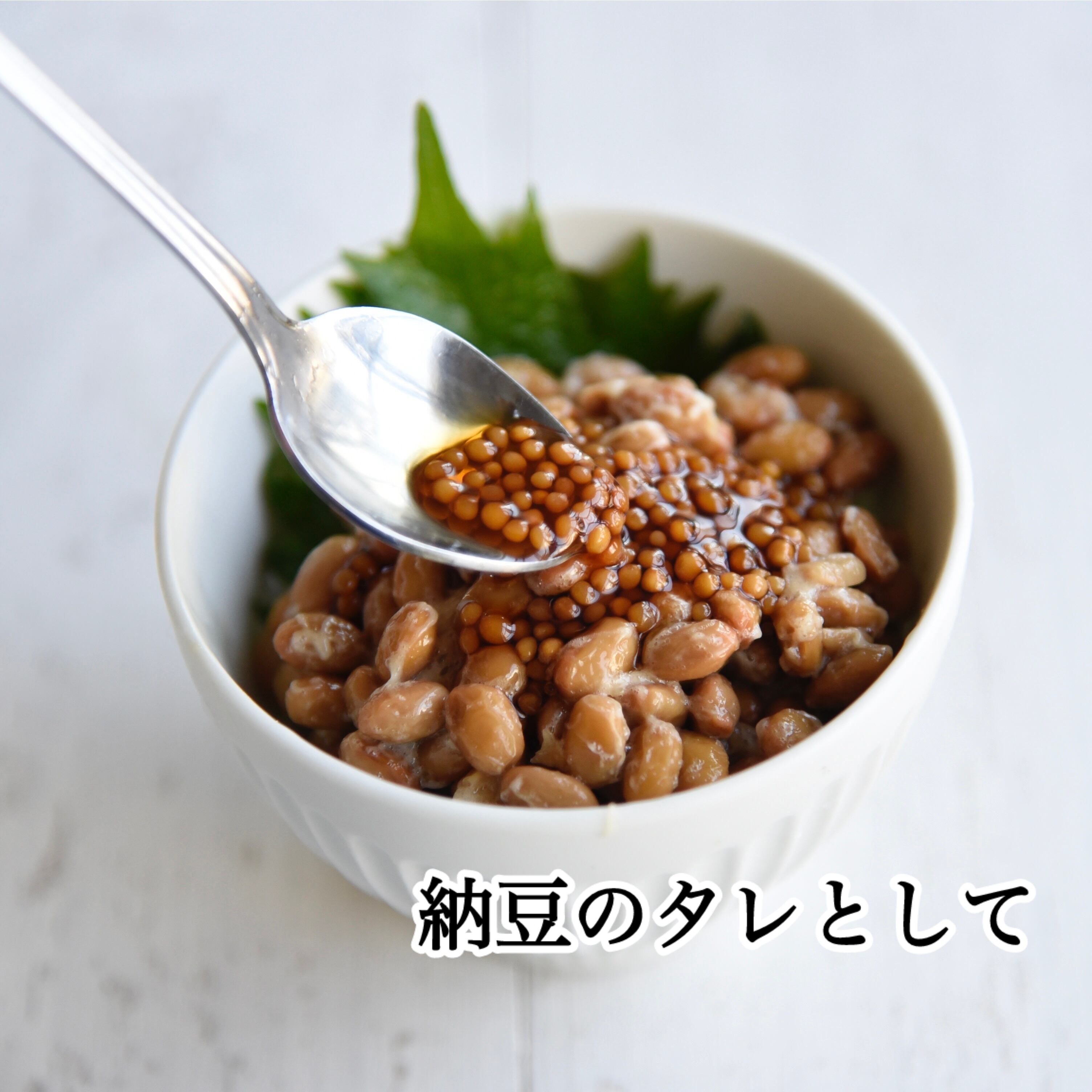 リピ向け・お得】木桶醤油 5本お得セット 送料無料 | 南の風のマスターネ。