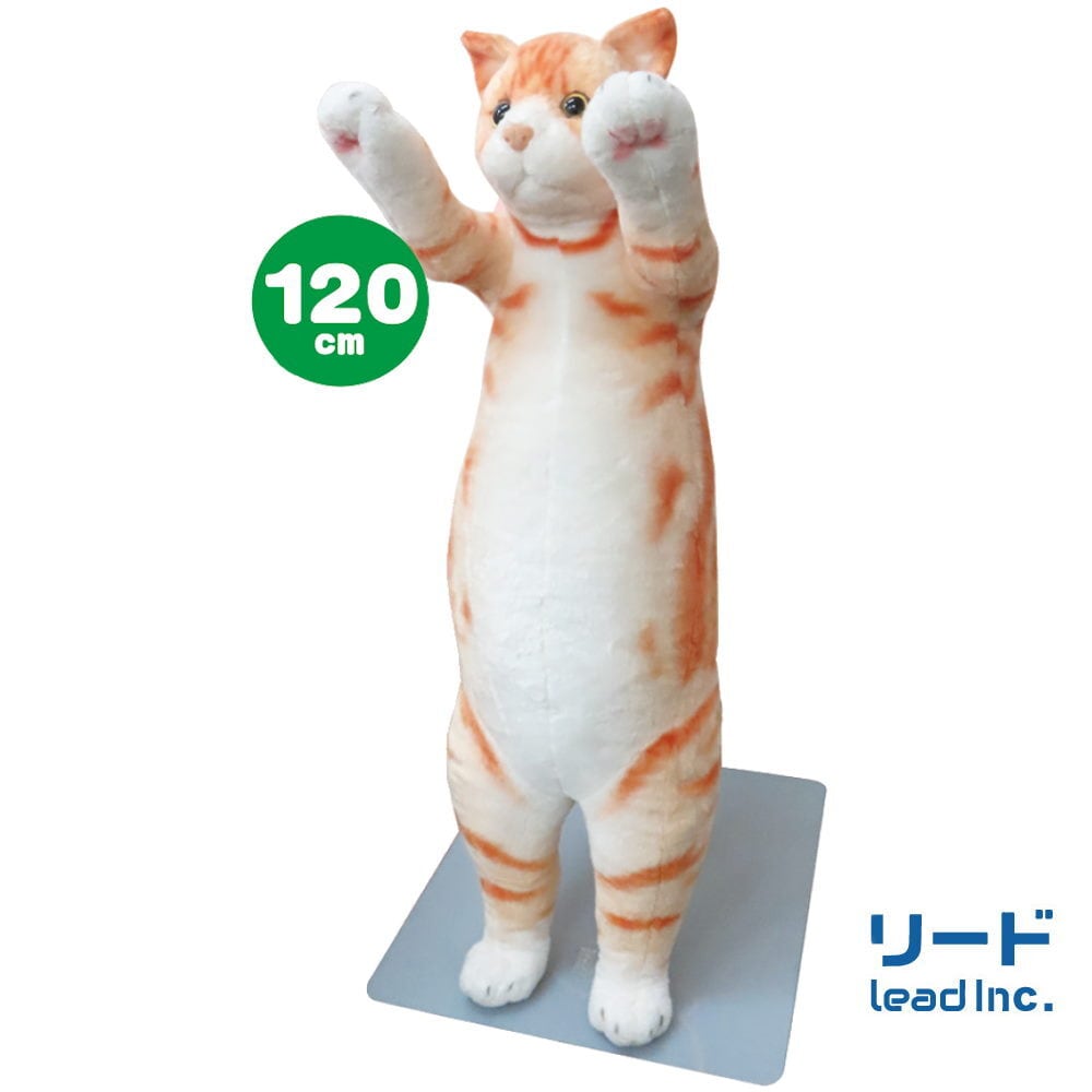 たっちぃZoo | リードのおみせ Catail