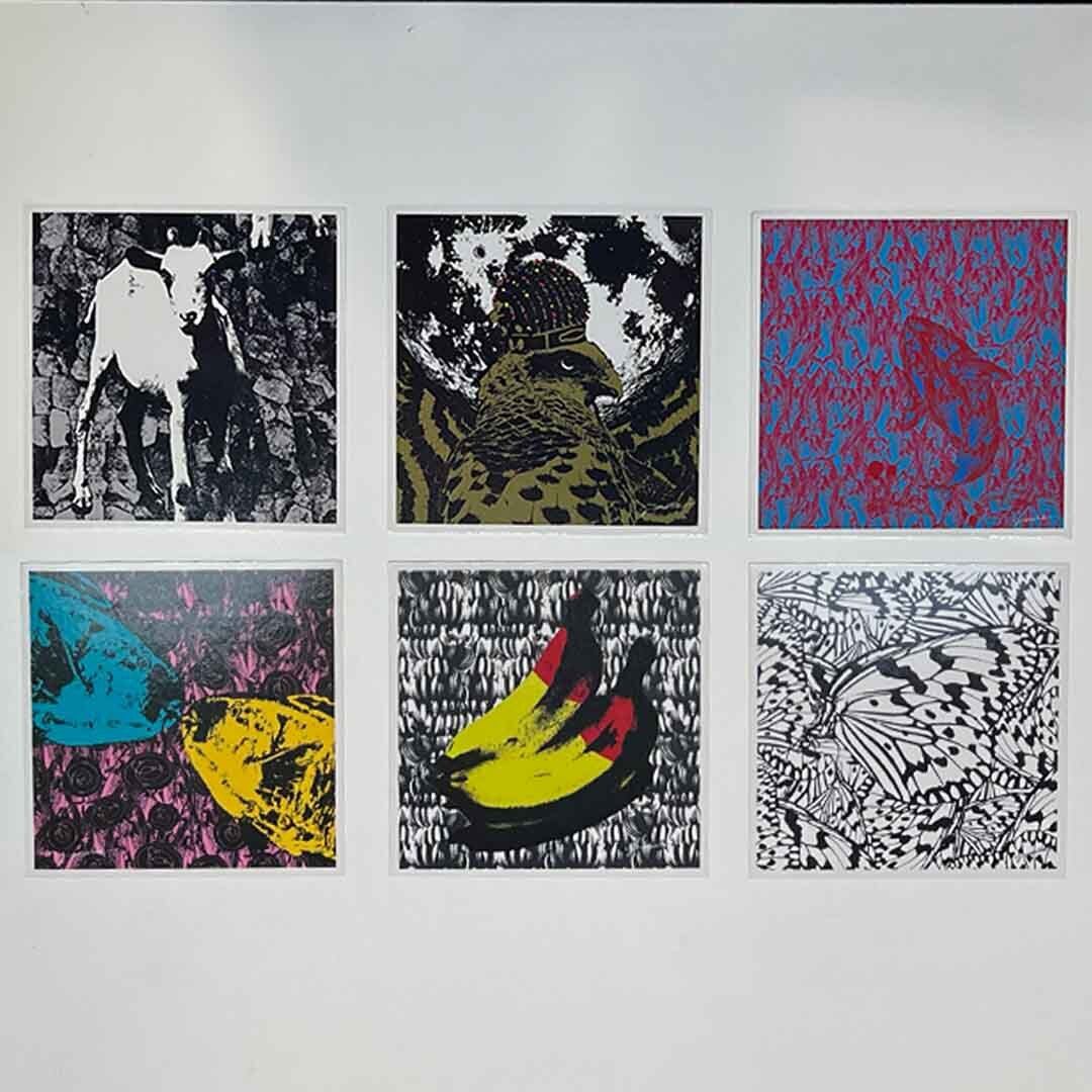 SuGポストカード SuGポストカード HACHIポストカード 8枚セット | ハチふる SHIBUYA