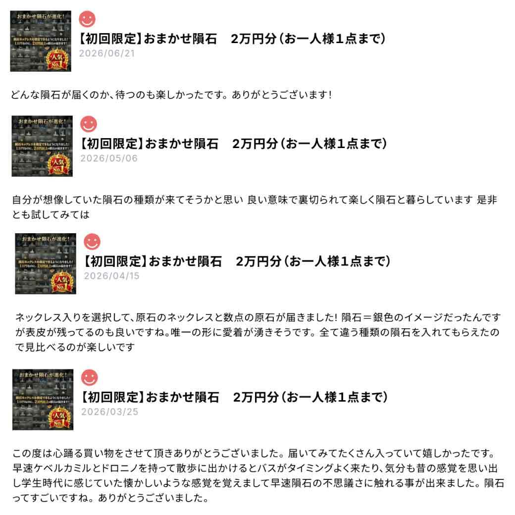 初回限定】おまかせ隕石 2万円分（お一人様1点まで） | 【隕石屋