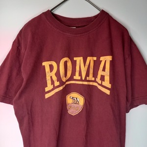 ノーブランド　クルーネック　プリントTシャツ　半袖　ブラウン　FREE SIZE