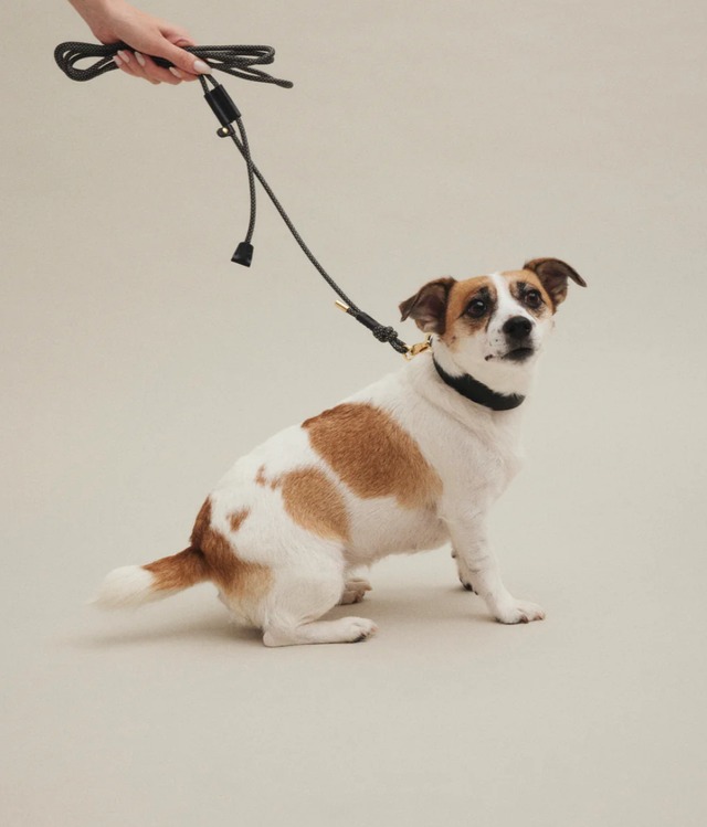 SHOULDER LEASH／M