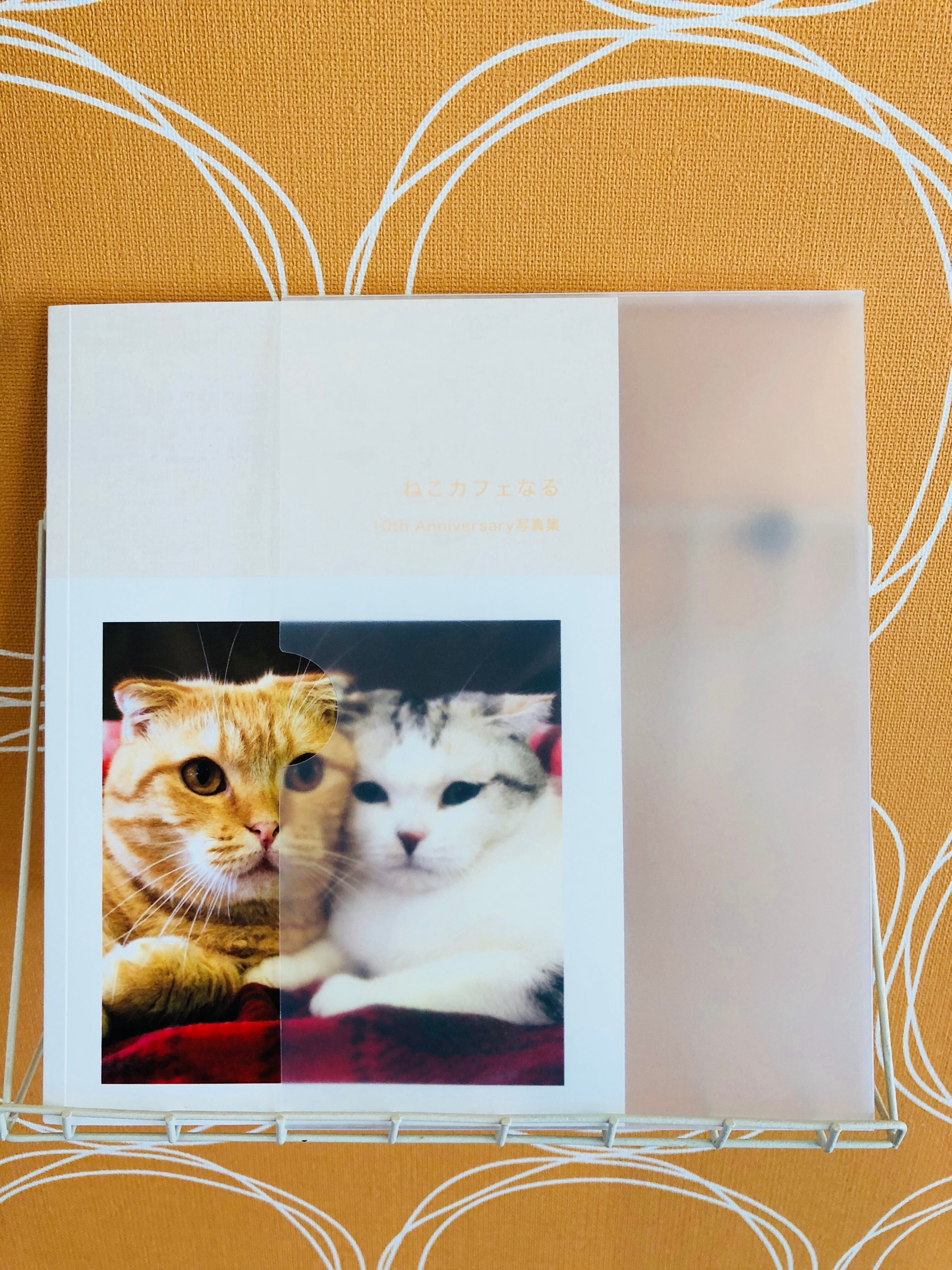 ねこカフェなる10th Anniversary写真集 ねこｶﾌｪなる 長野の猫カフェ
