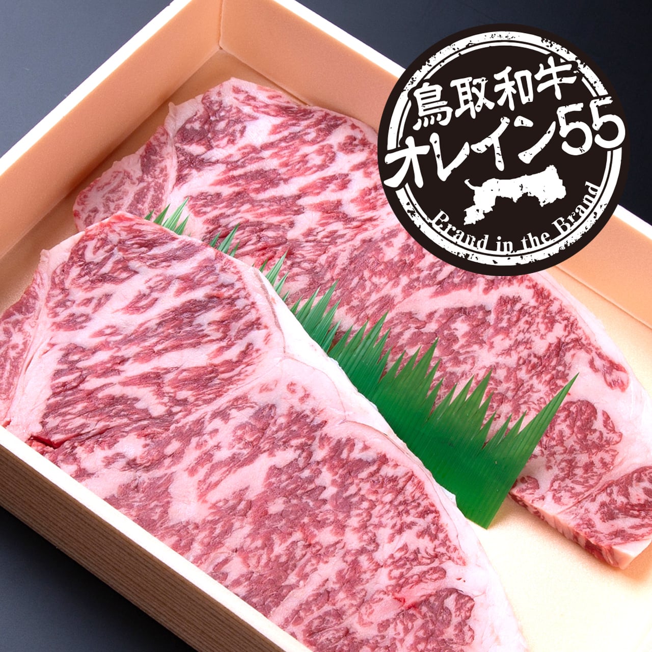 鳥取和牛オレイン55 サーロインステーキ400g（200g×2枚） | 【公式】肉