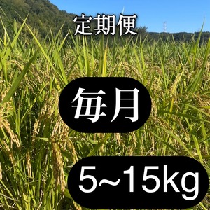 岡山県産　朝日　玄米5㎏～　定期便　R7年産　無農薬　自然栽培　主食固定向け