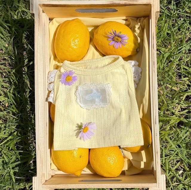 【予約】[TODLEY] Summer Lemon Top [S-5XL]