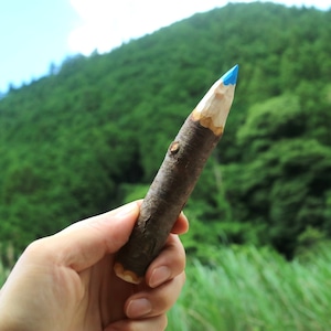 枝いろえんぴつ【単品】