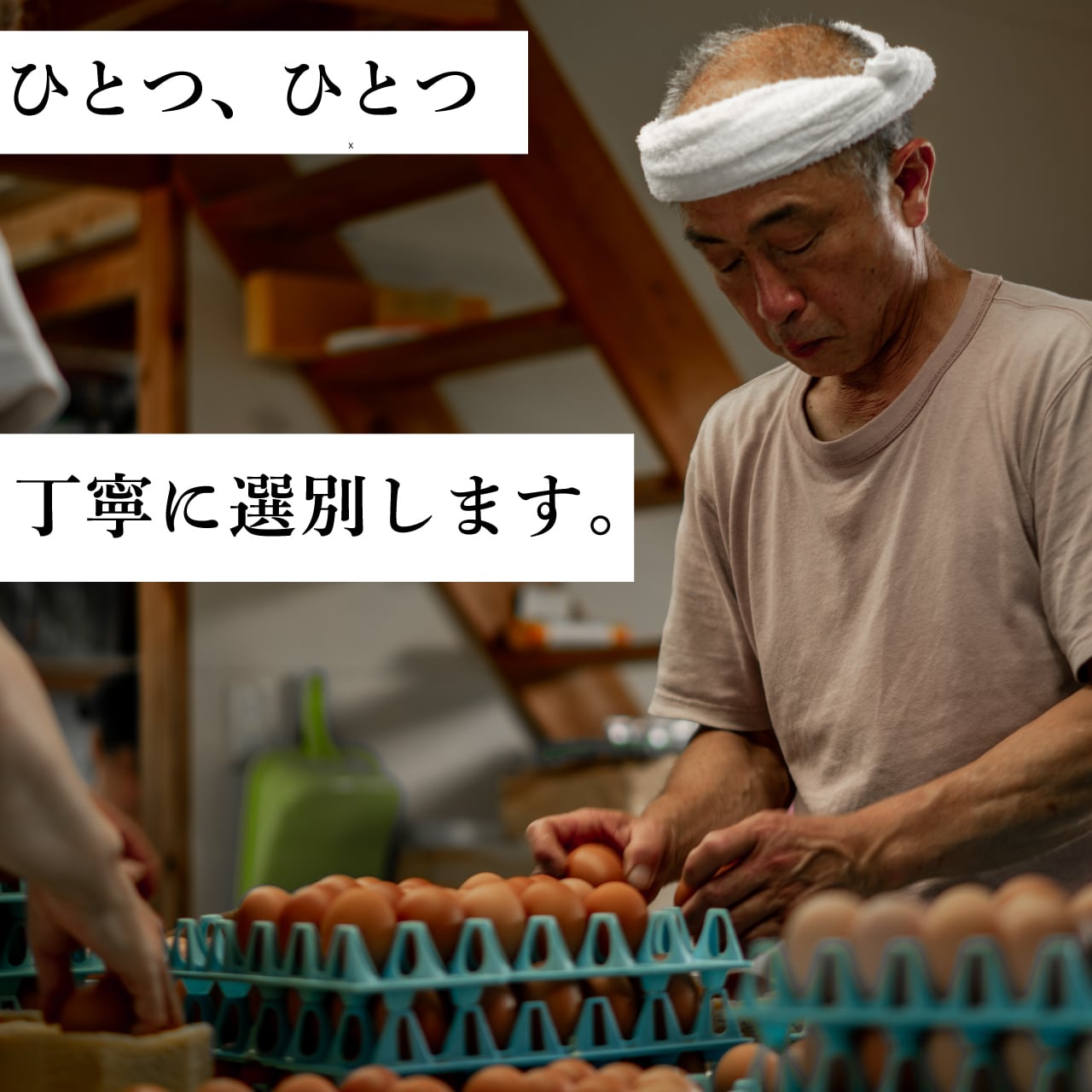 七山たまご 40個入贈答箱 | ななやま農園-七山たまご-