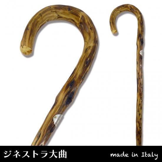 ジネストラ大曲ステッキ（イタリア製） | オシャレ・カッコいい