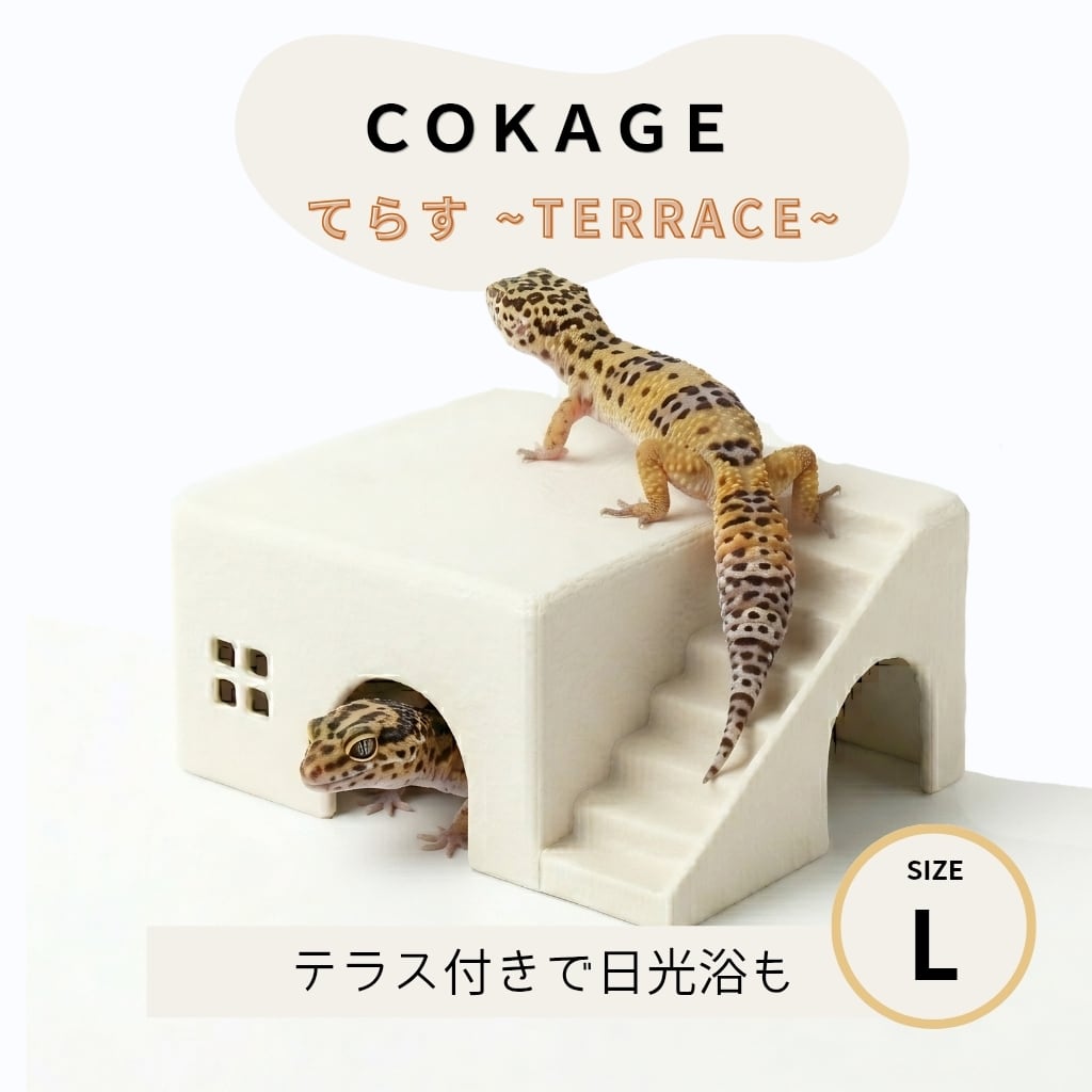 COKAGE【爬虫類シェルター てらす L】レオパ ニシアフ かわいい