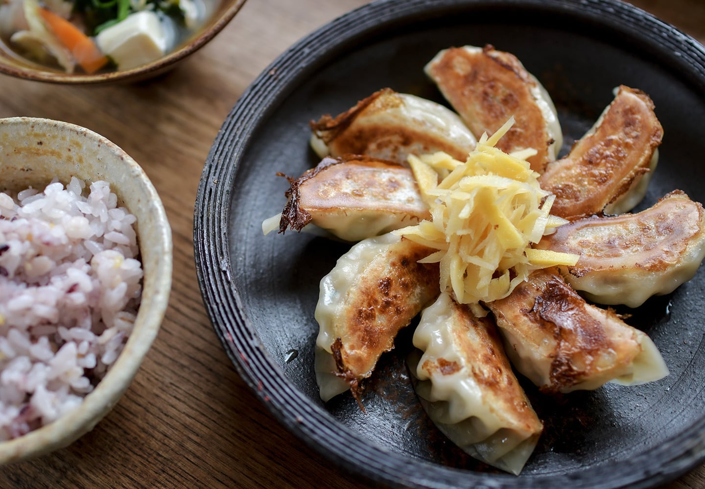 焼津”焼”餃子「12個入り×4袋」 | 焼津餃子｜鮪と鰹と削り節