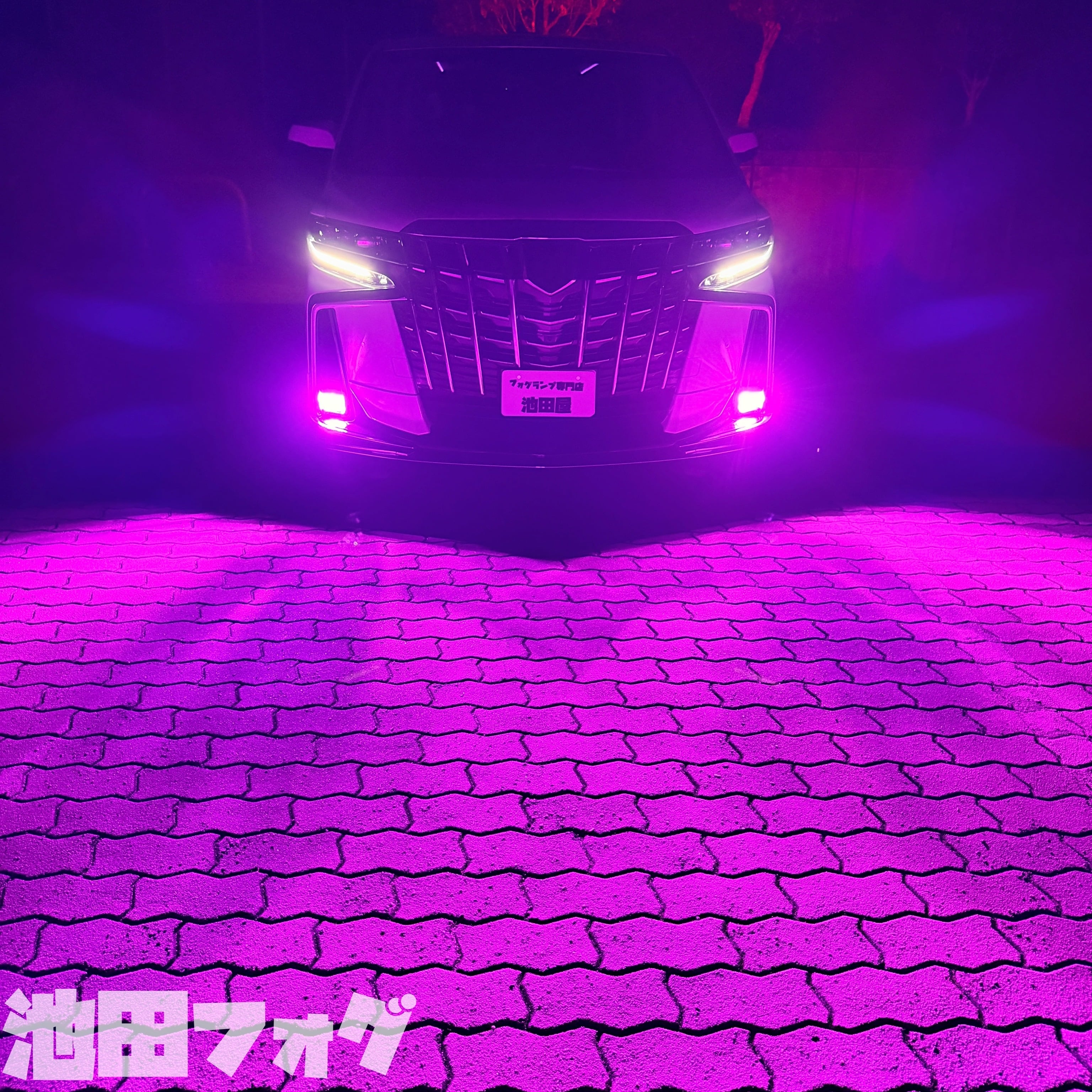 超爆光！HB4用 パープルピンクフォグランプ！当店限定色！ピンク パープル 超爆光 パープルピンク フォグランプ 実測14000lm越え H8/H11/H16 HB4