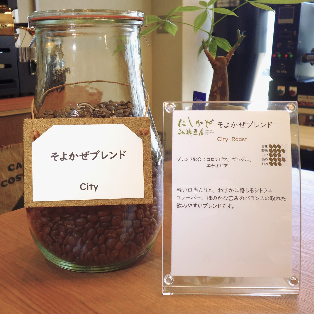 そよかぜブレンド シティ
