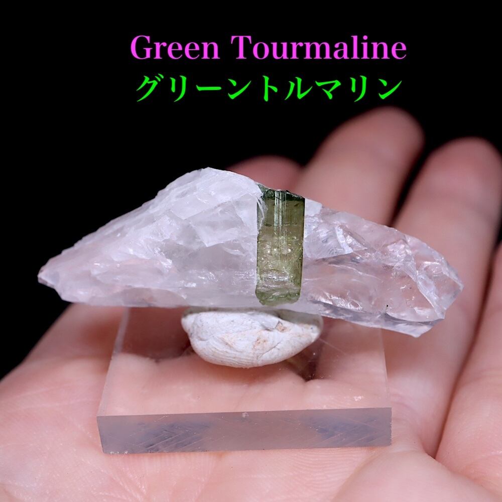 グリーン トルマリン 母岩 スモーキークォーツ 電気石 水晶 10g T622 鉱物　天然石　原石　パワーストーン | 鉱物 天然石 American  Minerals + Gemmy You powered by BASE