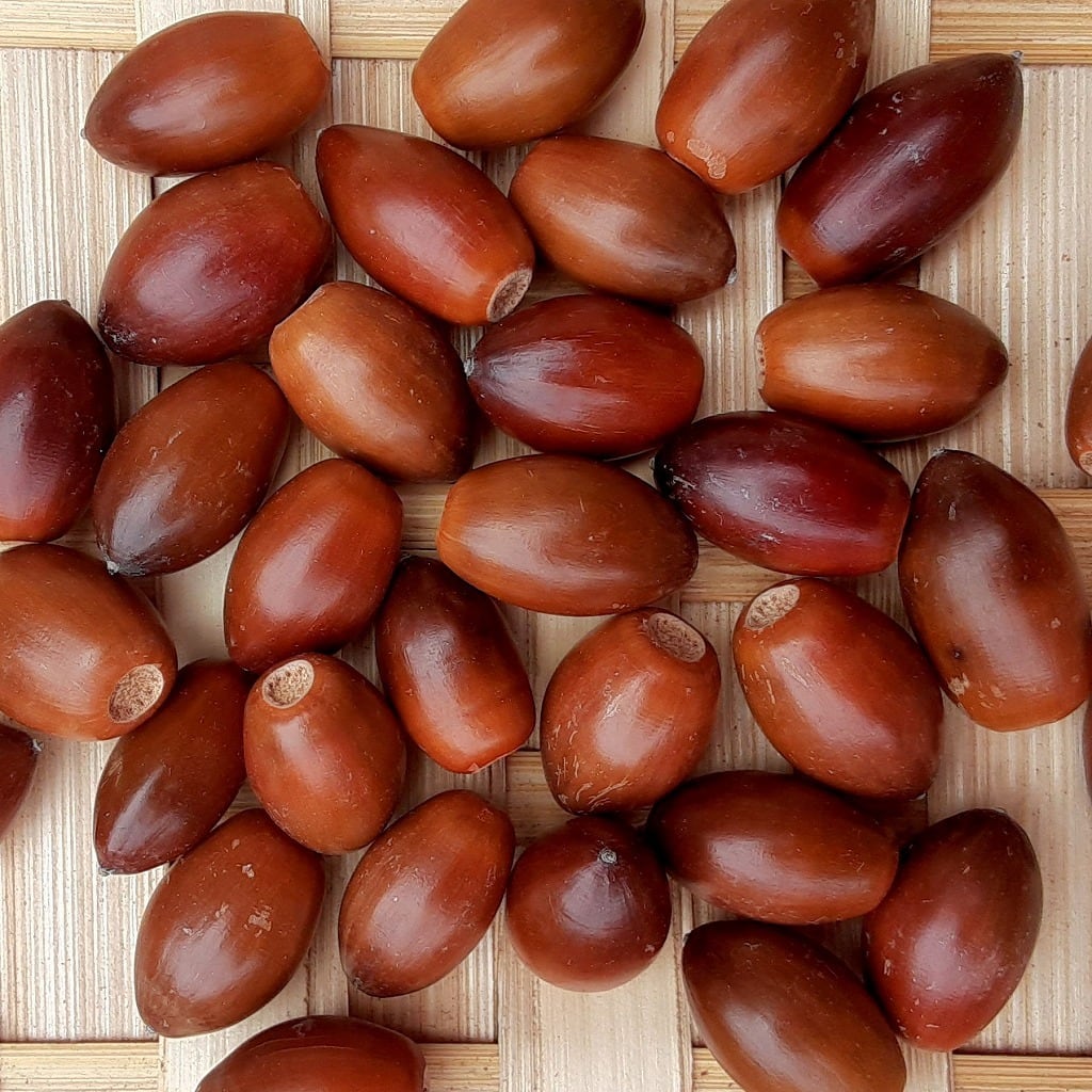 どんぐり どんぐりの鈴(ONE シルバー): BRU NA BOINNE