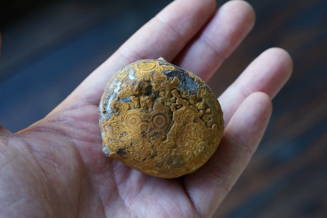 ゴビアゲート Gobi Desert Eye Agate 548