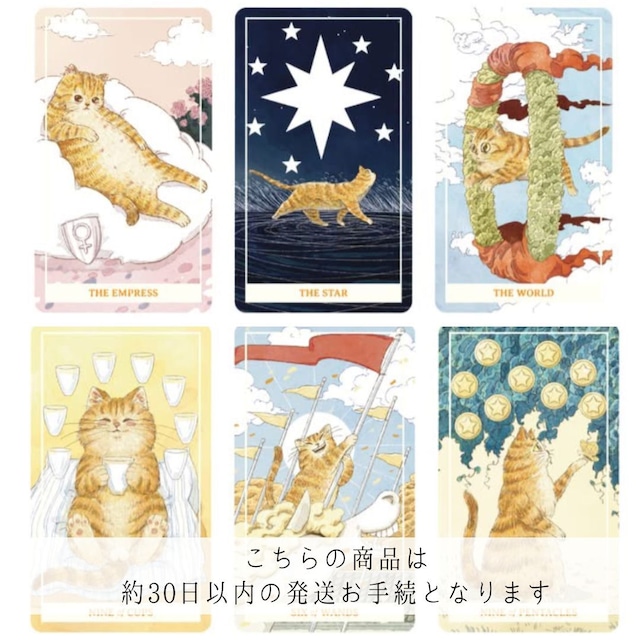 STRAY CAT TAROT BLACK EDITION ◇ NEW WORLDニャンコさんタロット 
