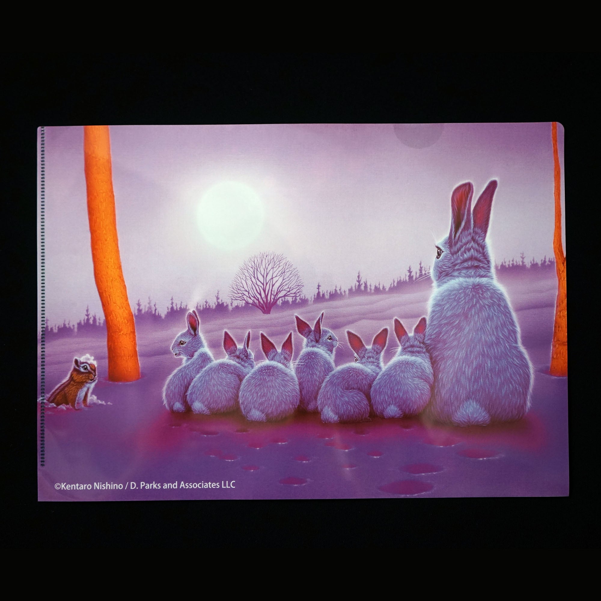 ふくろうの河　廃盤DVD 未開封品　見本版 ふくろうの河 廃盤DVD 未開封品 見本版 廃盤ふくろうの河 初回生産限定DVD