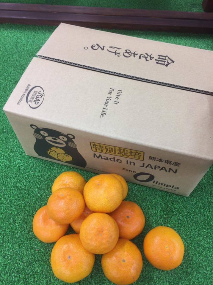 熊本県産特別栽培温州ミカン3kg(販売期間:10月15日~1月中旬)