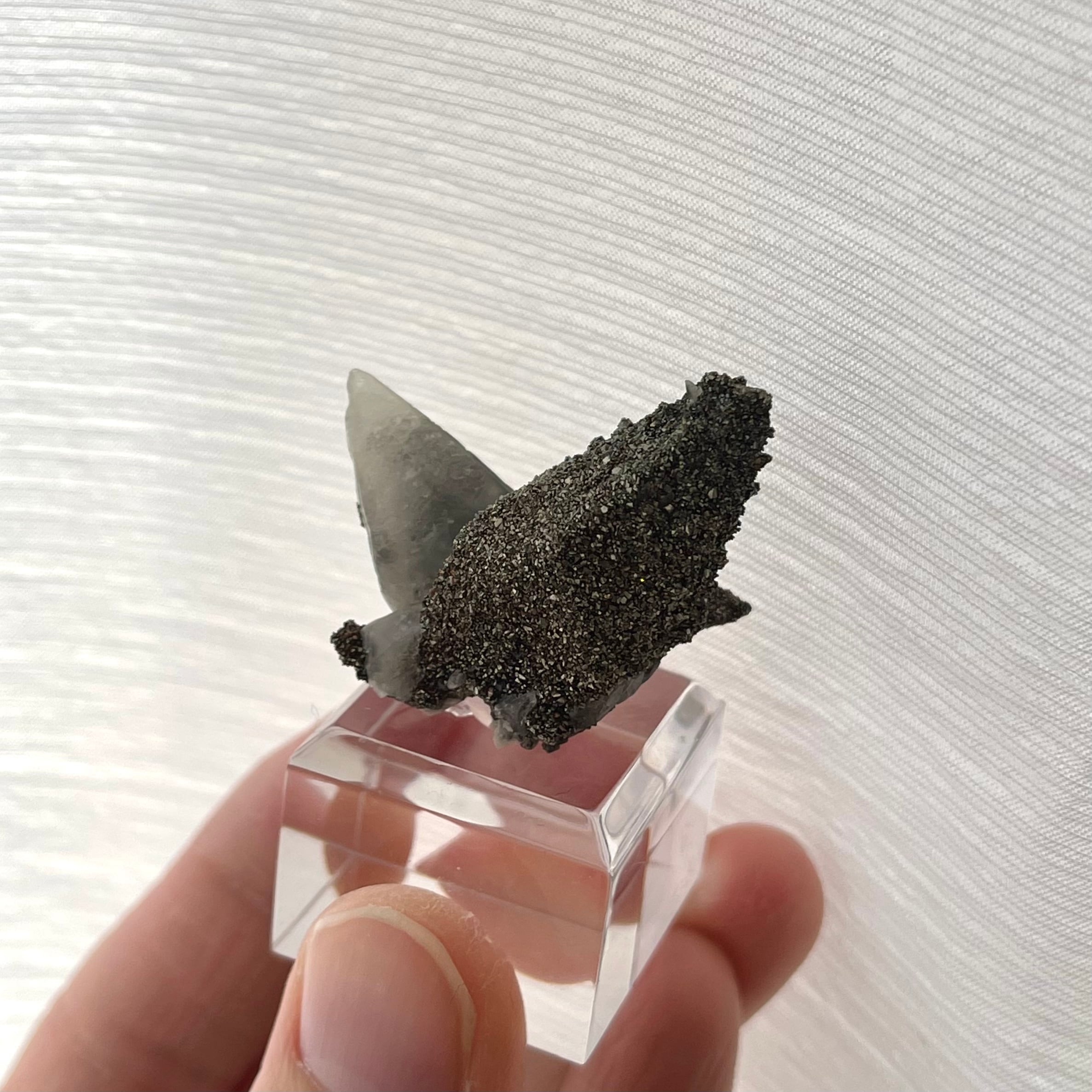 カルサイト / キャルコパイライト【Chalcopyrite on Calcite】アメリカ