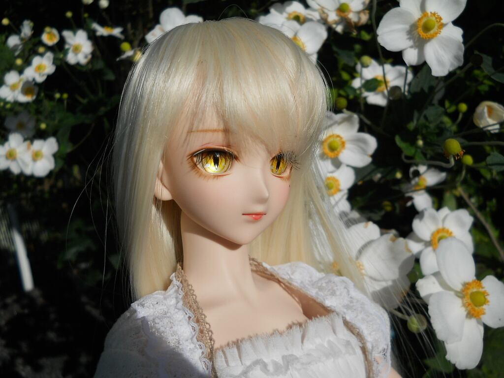 ケモノアイ | そらのあお屋