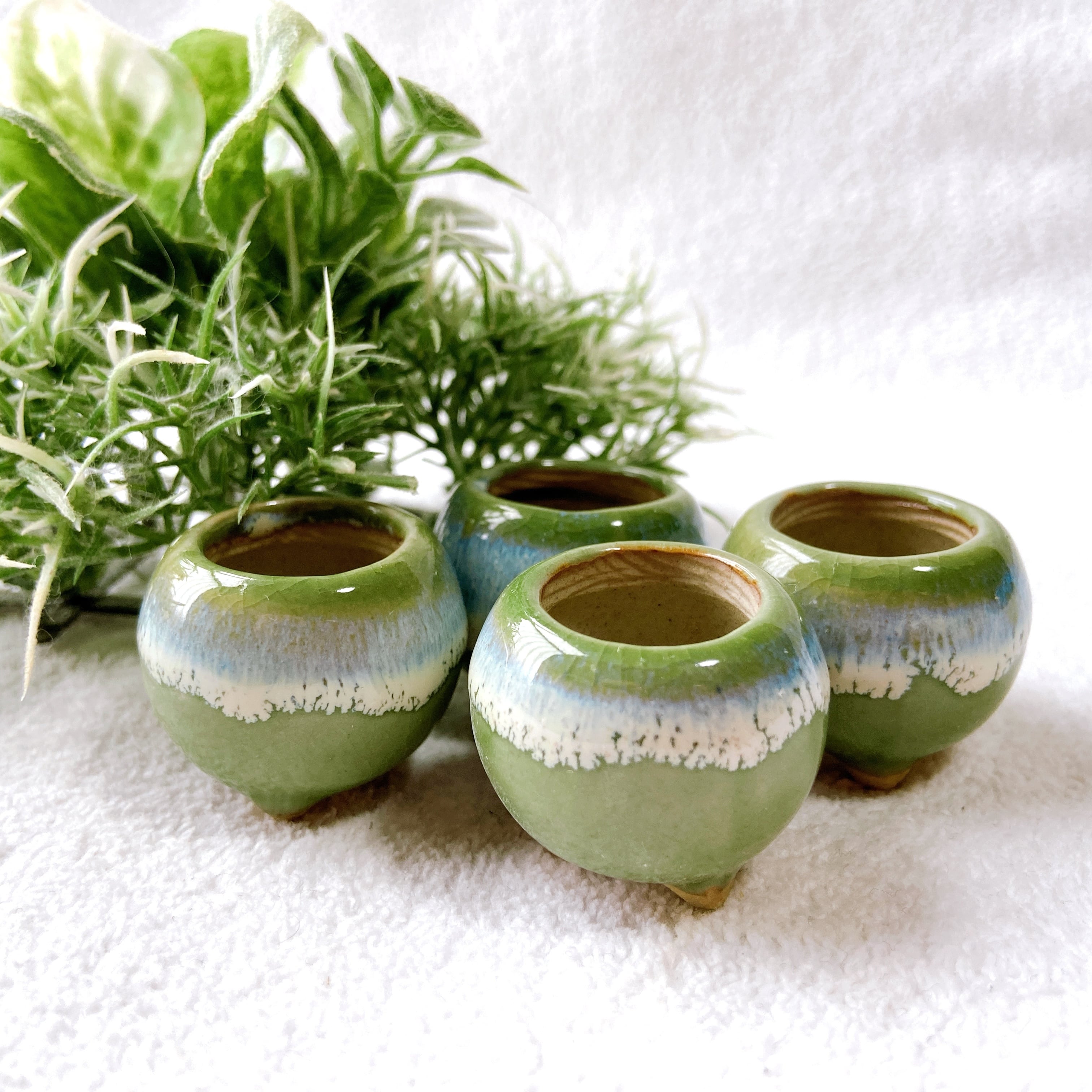 お得4点セット！ 大人気の緑色 マルッとした形のかわいい陶器植木鉢