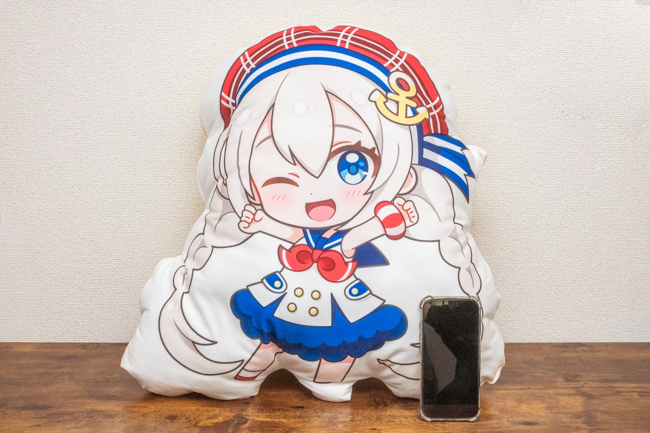 【通常プラン】バーチャル物産展 オリジナルクッション開発プロジェクト【10/9~10/19】