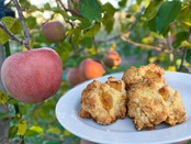 【12月発送分★12個セット】４つの味が楽しめるスコーン12個セット