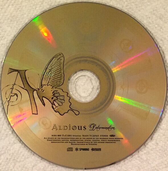 ALDIOUS/Determination | RECORD SHOP CONQUEST/レコードショップコン