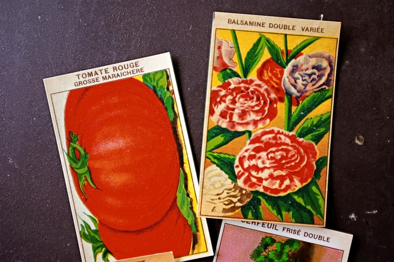 20s フランス 4set 膨満な花々と野菜たち 種子袋用ラベルr アンティーク