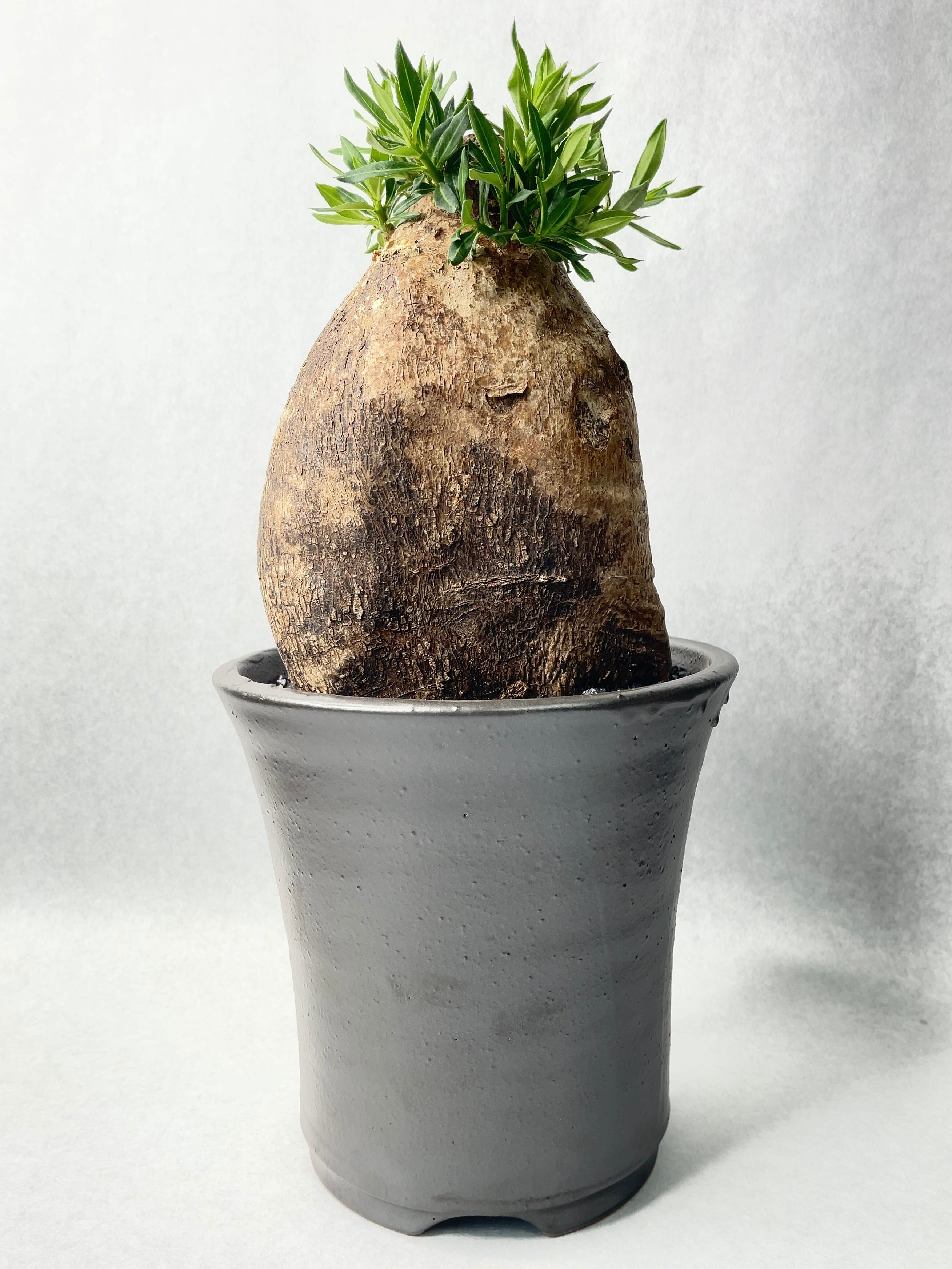 c982382d00743be5d76bc776a85fdd