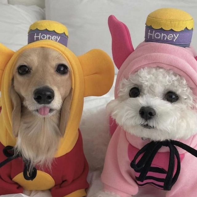 【PET】全2種類ディズニーコスプレパーカー