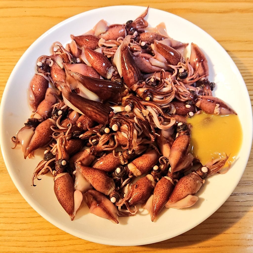 【富山湾】ホタルイカTシャツ【神秘】