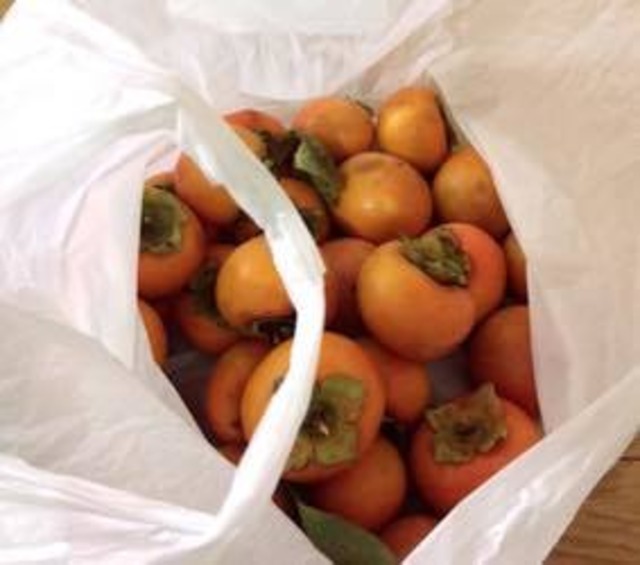 松葉家で採れた柿（一袋30個入り）