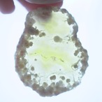 Summer Beach 03 - アゲートヒーリングチャイム / Agate Sun Catcher Wind Chime 293