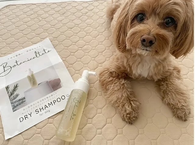 犬用ドライシャンプー Botanicaltete DRY SHAMPOO for dog 150ml