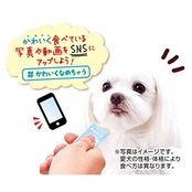 ペティオ (Petio) 犬用おやつ かわいくなめちゃう とろとろヤギミルク 7本