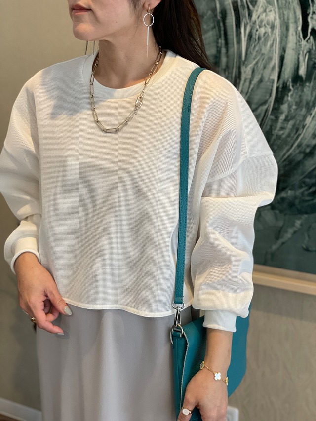 フックチェーン×Wホールネックレス