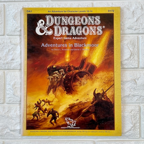 D&D Adventures in Blackmoor（中古品）